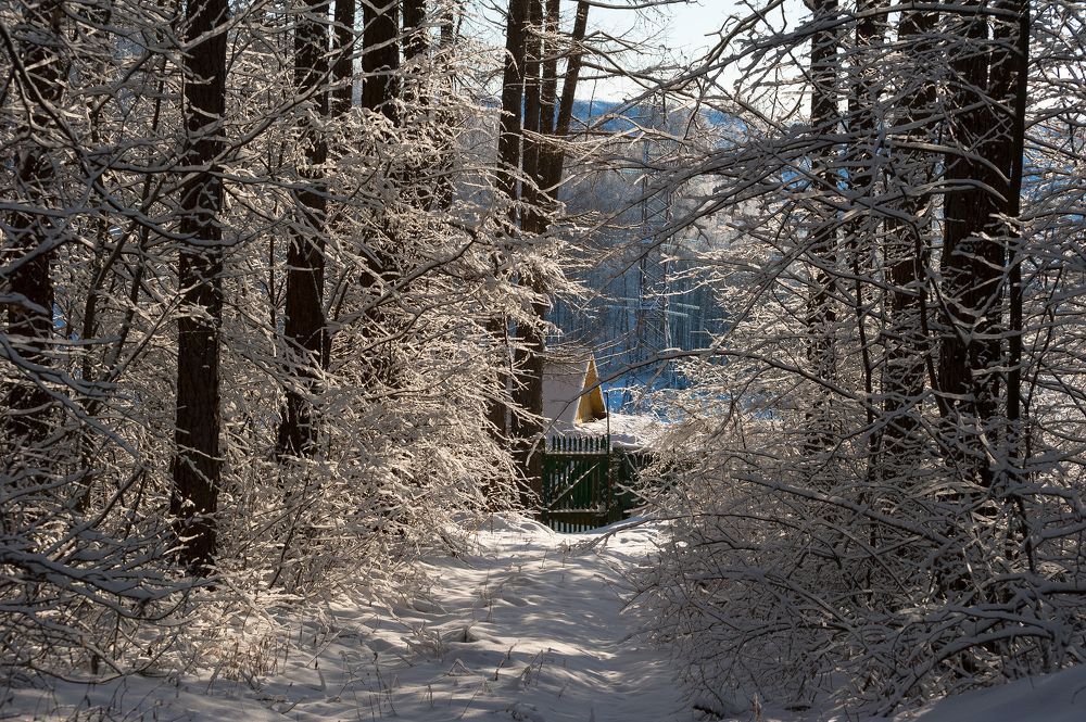 Photograph by Виталий Стрельцов