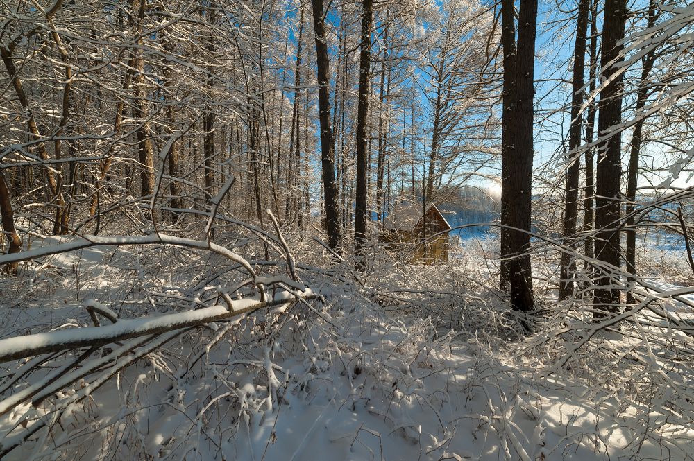 Photograph by Виталий Стрельцов