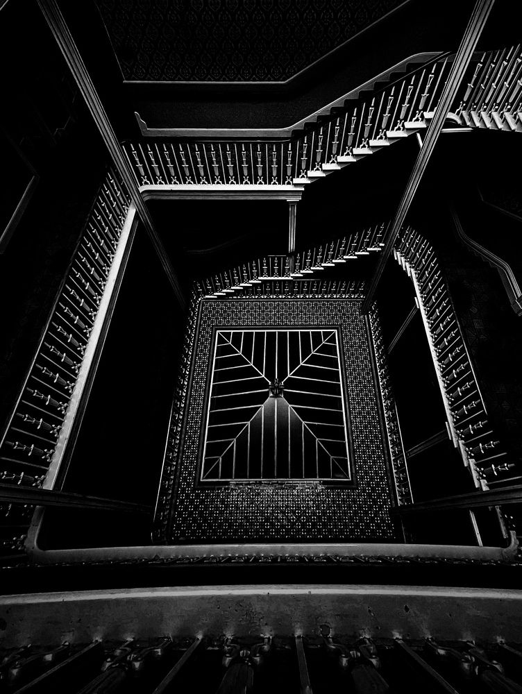 Photograph by Vera Notovich