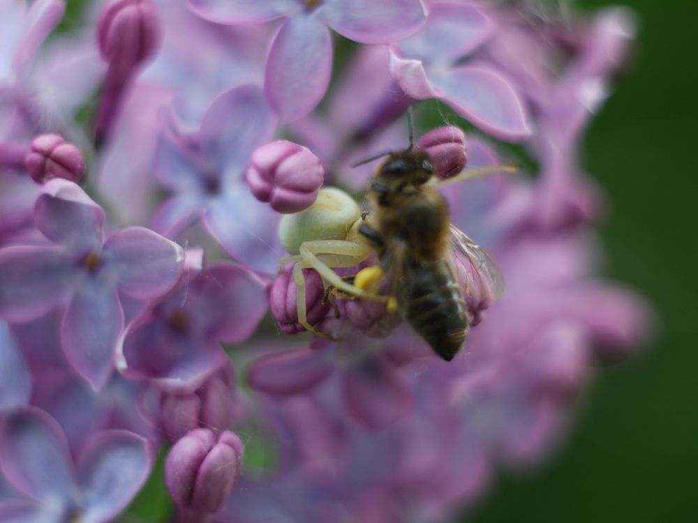 Photograph by Иван Скрипкин