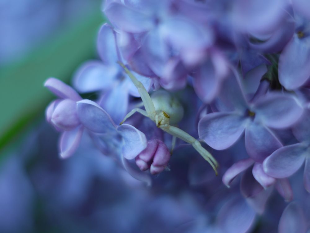 Photograph by Иван Скрипкин