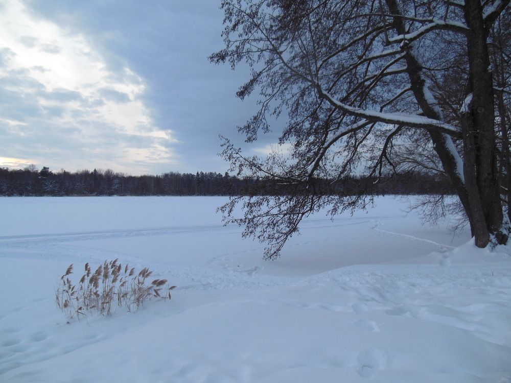 Photograph by Светлана Батурова