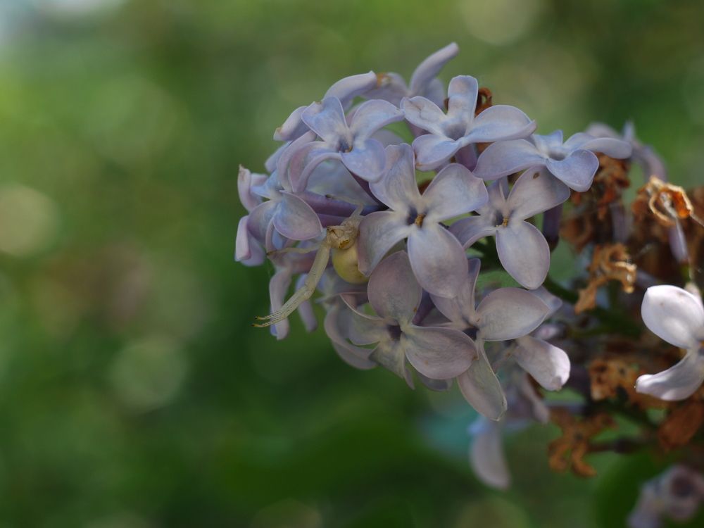 Photograph by Иван Скрипкин