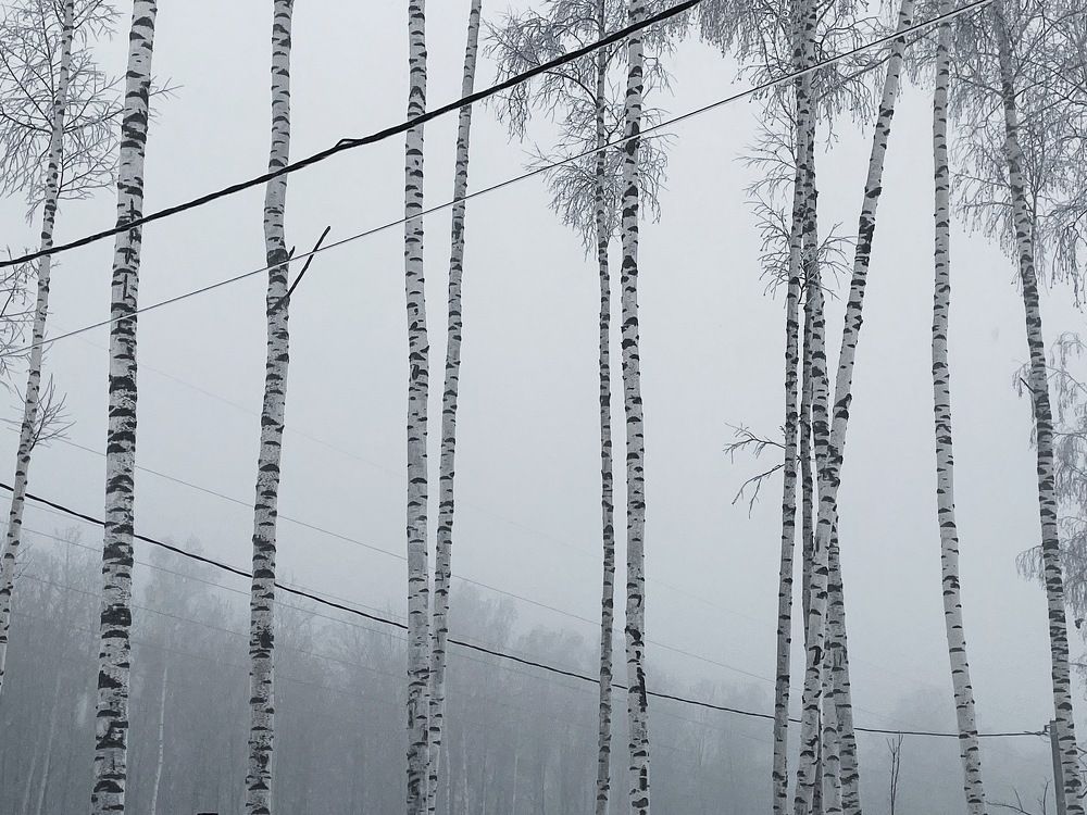 Photograph by Ксения Щербакова