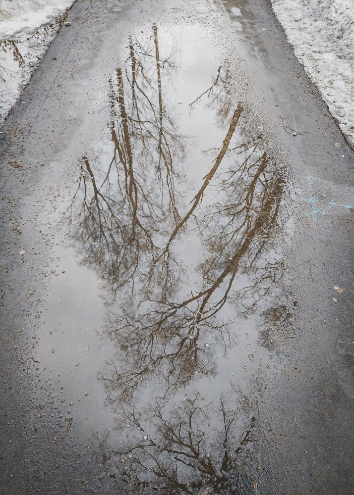  В отражении лужи...