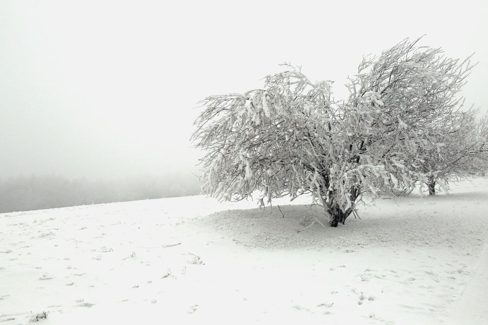 Photograph by Magdalena Kolenicova