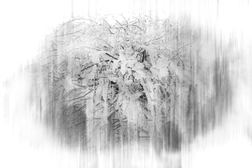 Photograph by Magdalena Kolenicova