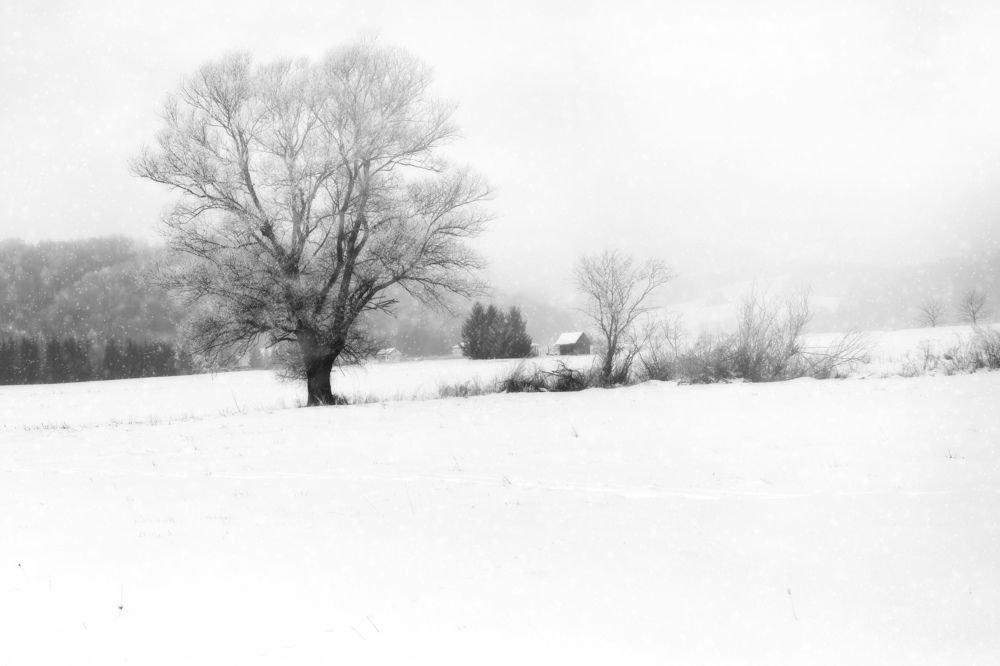 Photograph by Magdalena Kolenicova