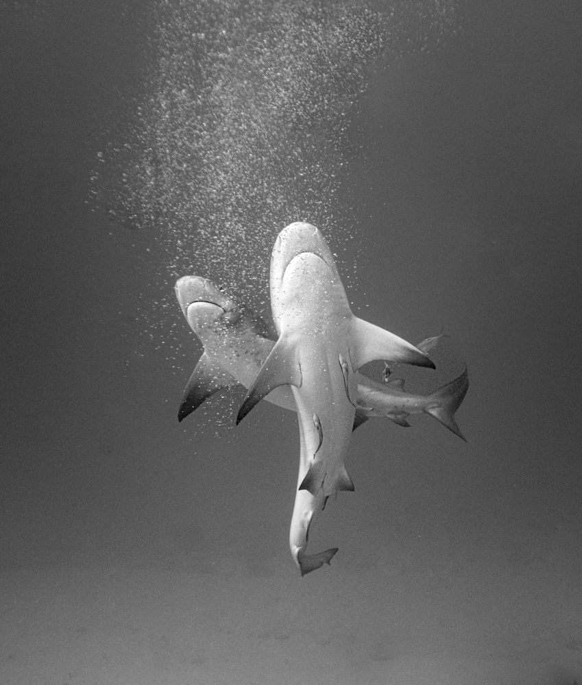 Photograph by Mizael Palomeque