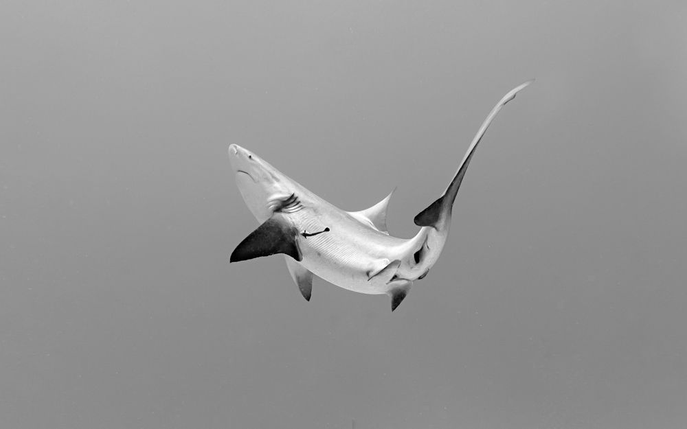 Photograph by Mizael Palomeque