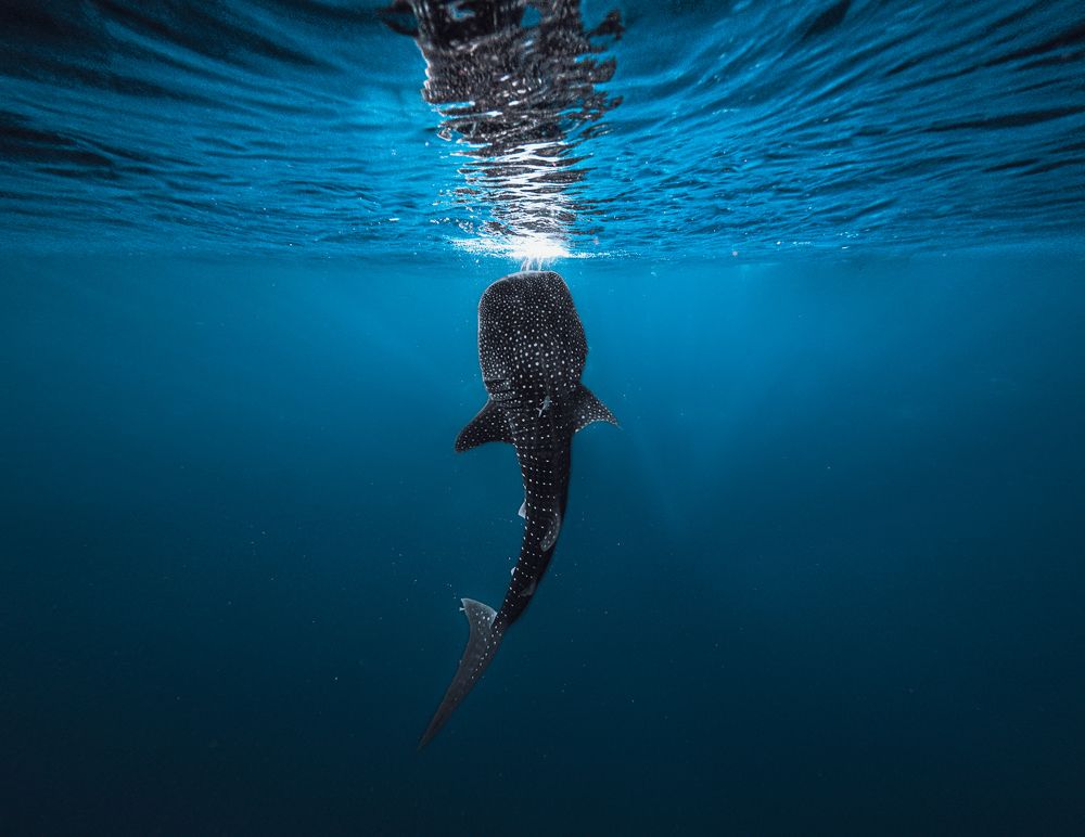 Photograph by Mizael Palomeque