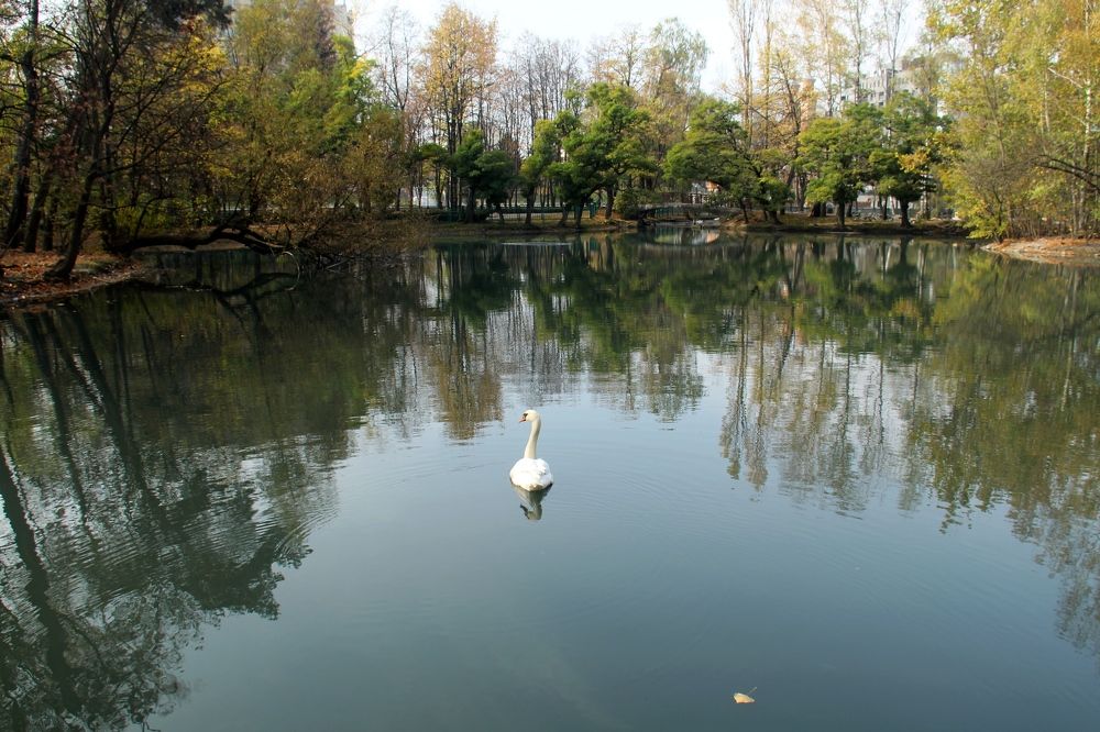 Photograph by Игорь Улитин