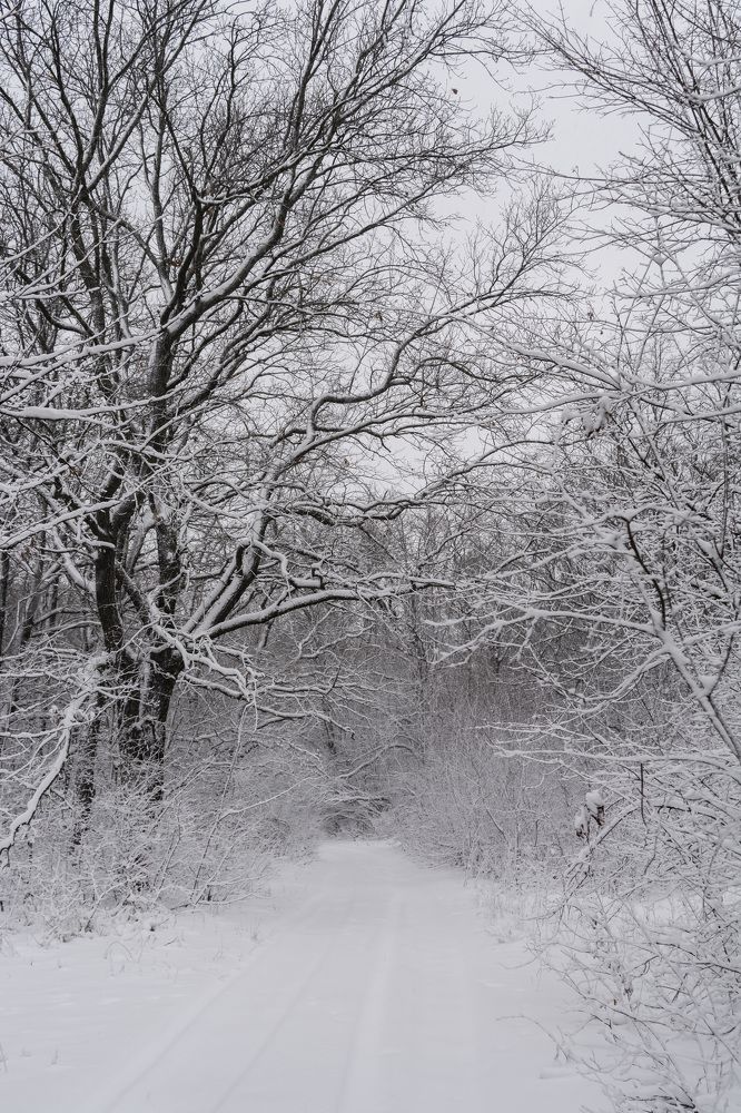 Photograph by Виктория Селютина