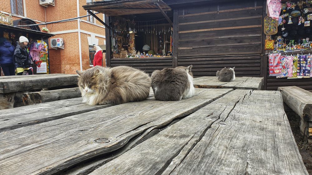 Photograph by Михаил Беляев