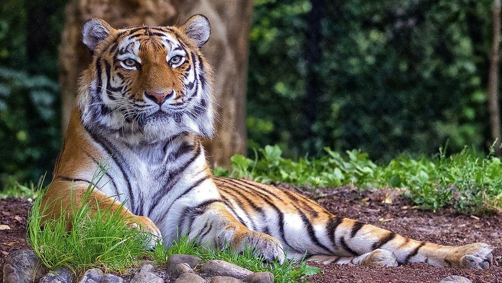 Photograph by advokatkijashko