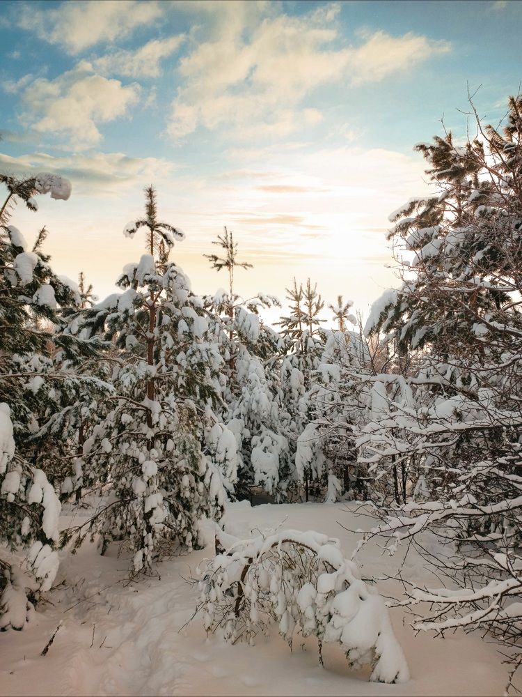 Photograph by Денис Шамров