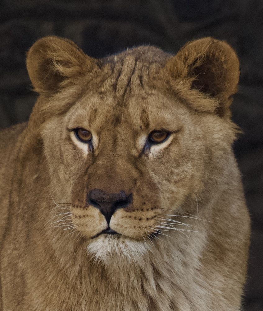 Photograph by advokatkijashko