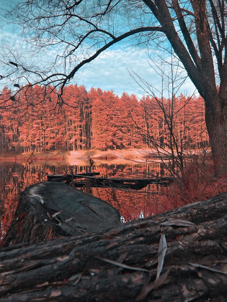 Photograph by Mary Ryzhenkova