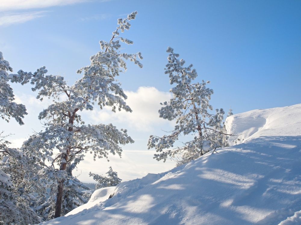 Photograph by Любовь Ершова