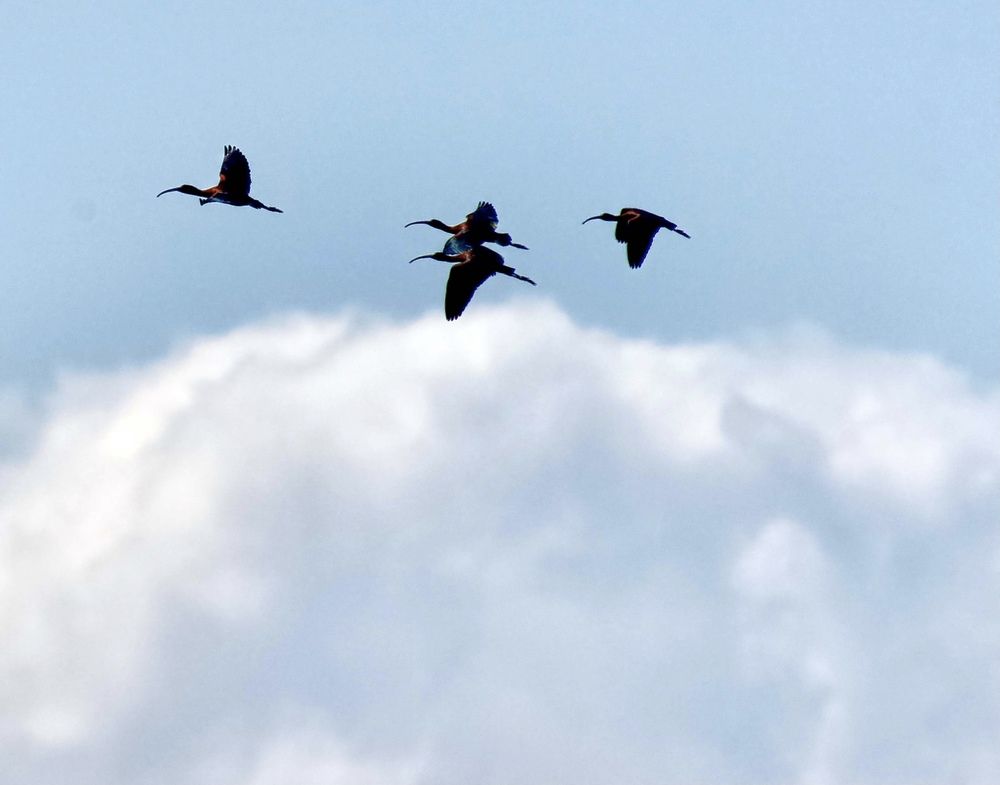 Photograph by advokatkijashko