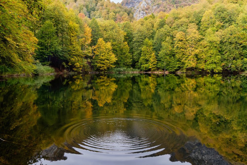 Photograph by Александр Фирстов