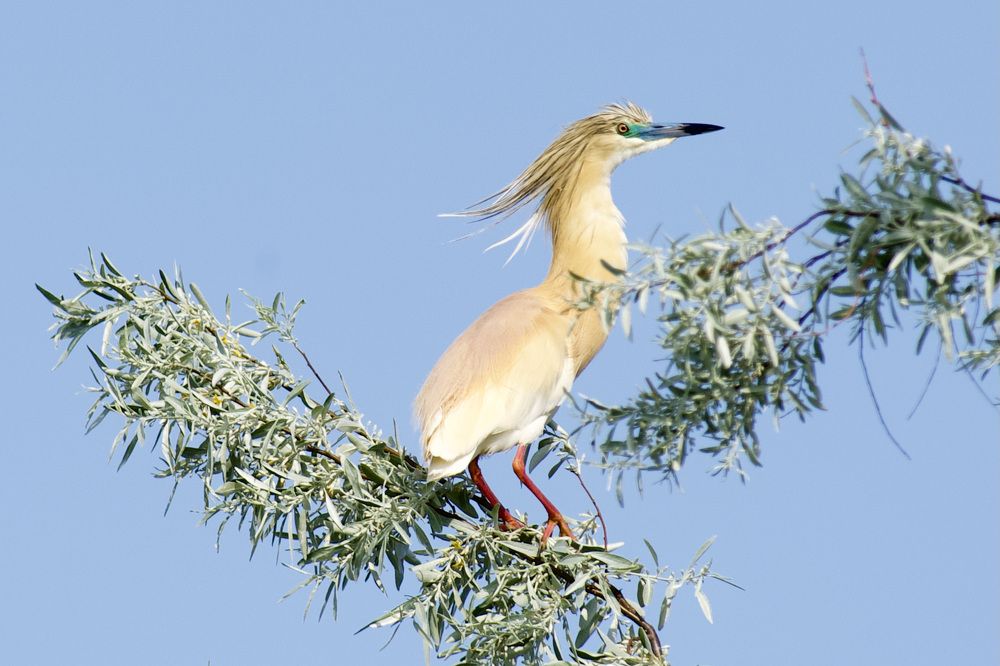 Photograph by advokatkijashko