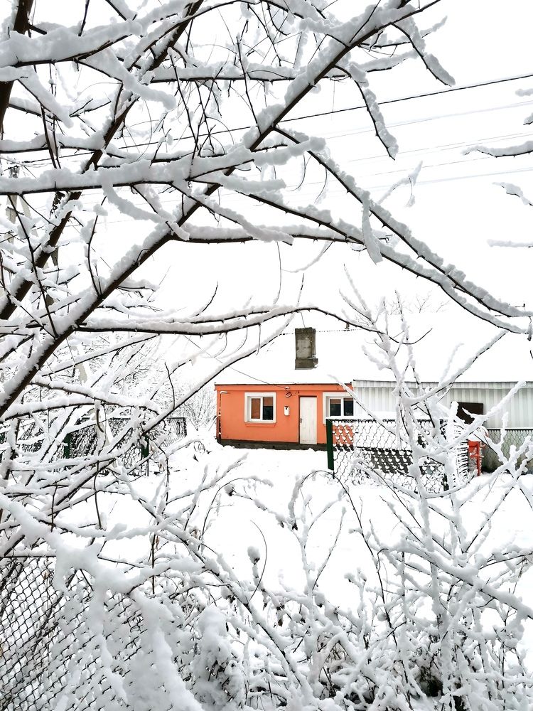 Фотография автора Valeryia Shkoda