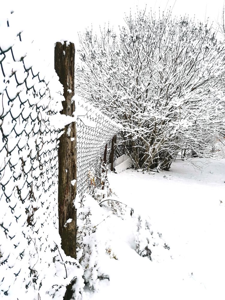 Фотография автора Valeryia Shkoda