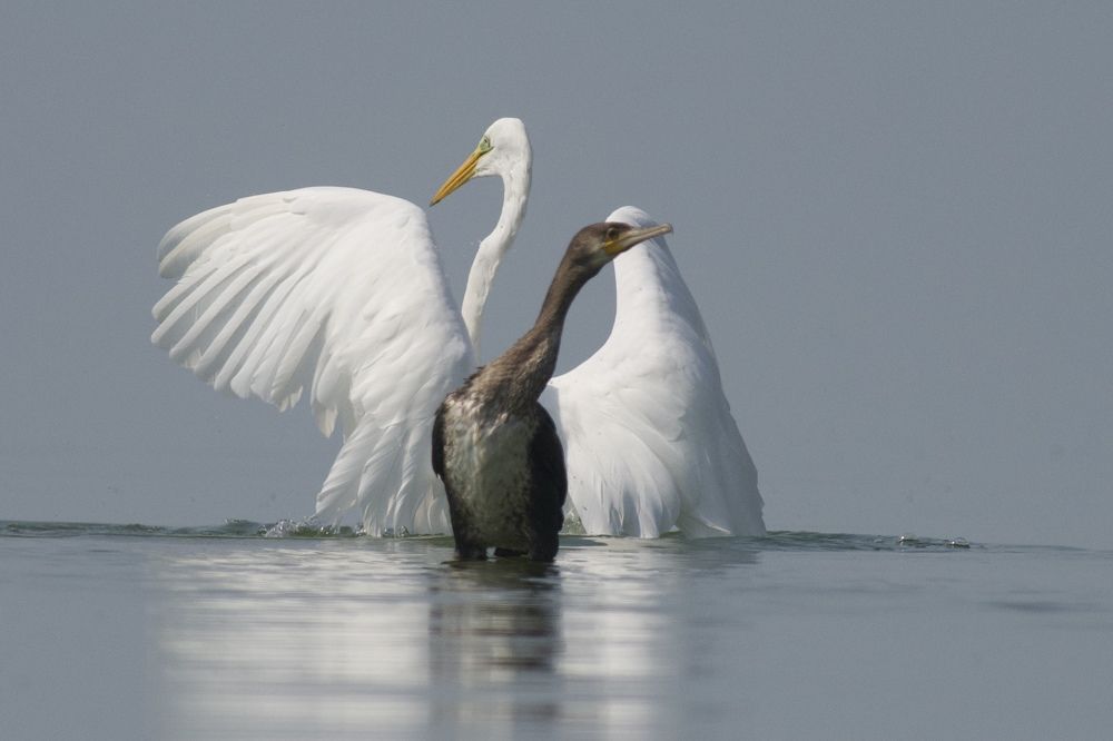 Photograph by advokatkijashko