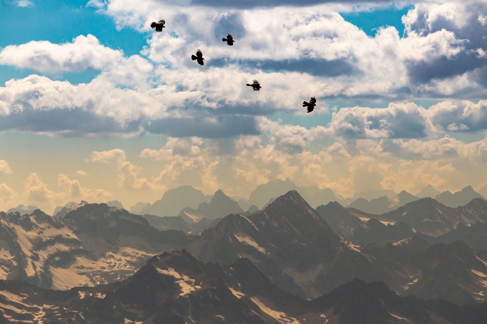 Photograph by Пётр Воронов