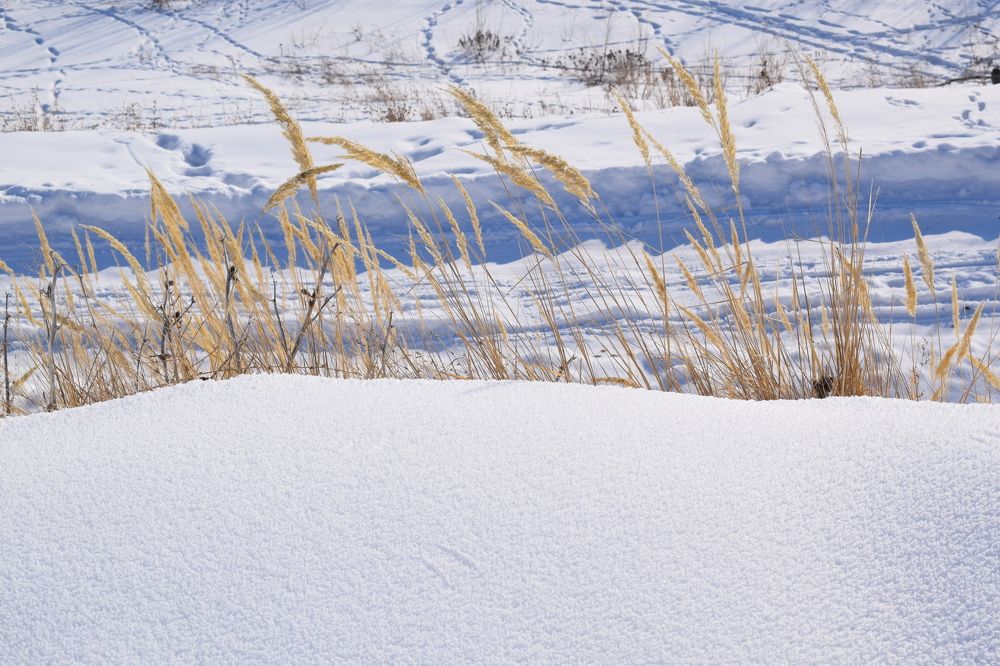 Photograph by Татьяна Дорожко