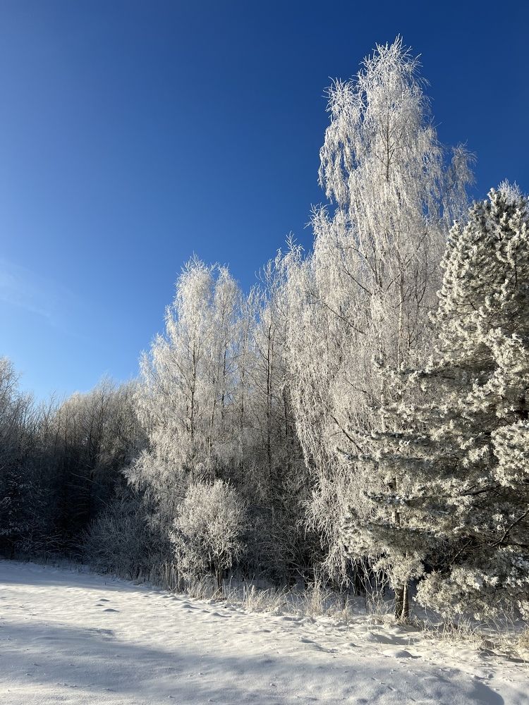 Photograph by Hanna Sauchuk