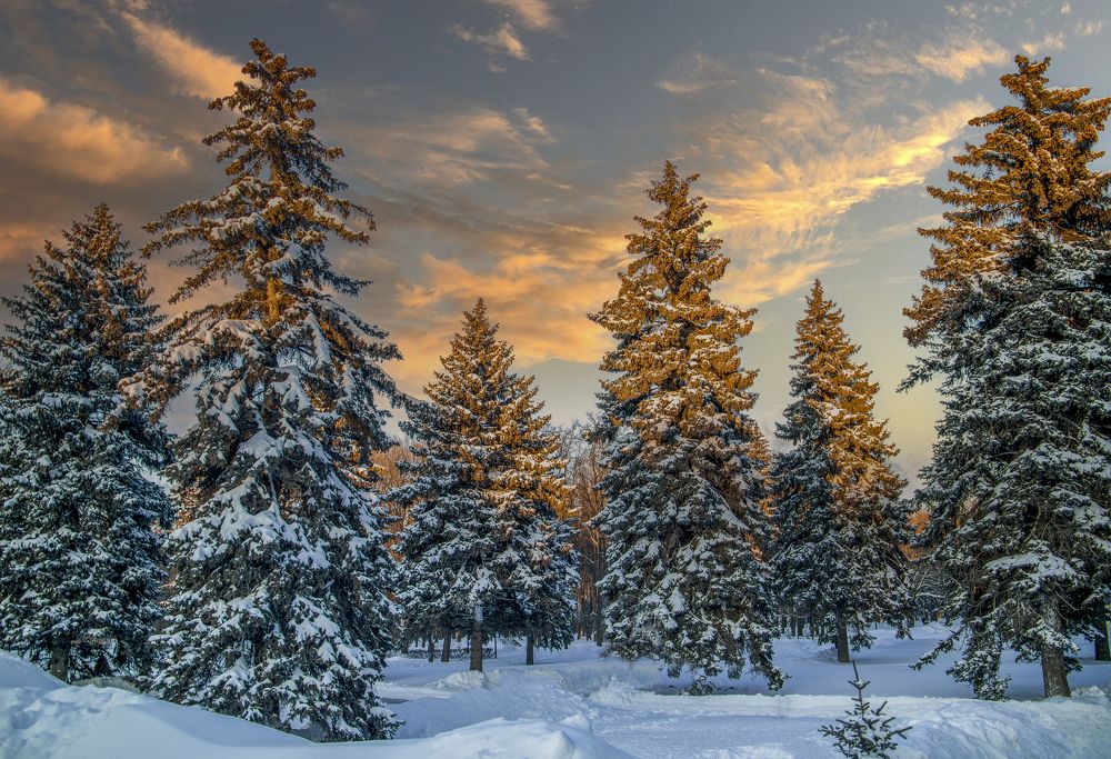 Photograph by Лариса Рулёва