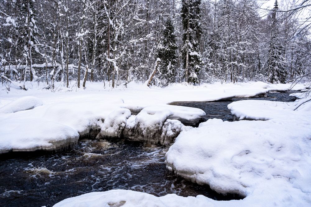 Photograph by Ольга Охорзина