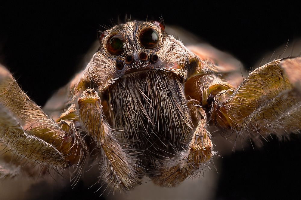 Photograph by Алексей Чечель