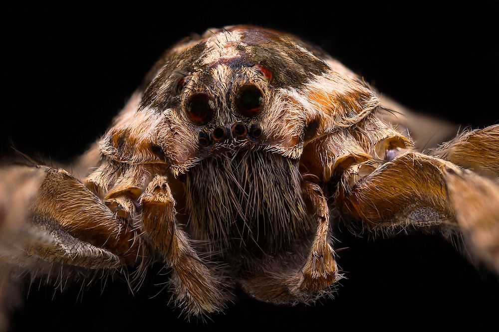 Photograph by Алексей Чечель