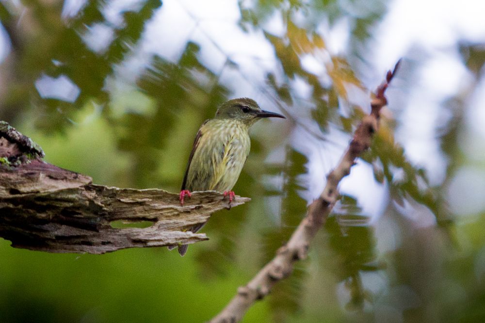 Photograph by Leonid Prado