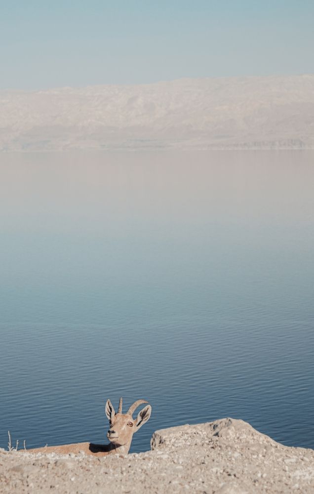 Photograph by Rita Kapitulski