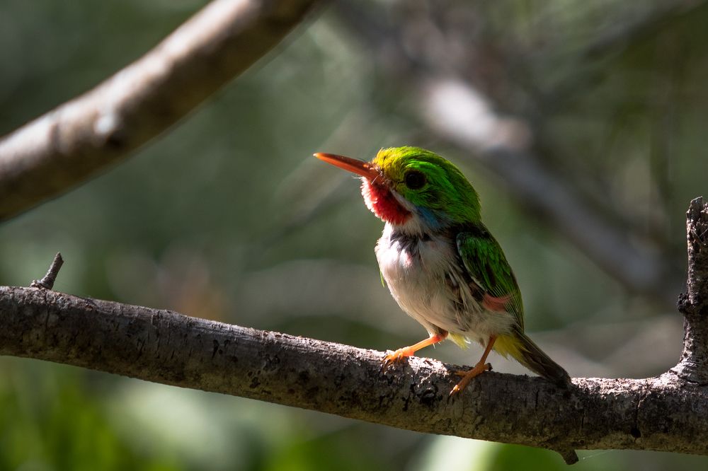 Photograph by Leonid Prado