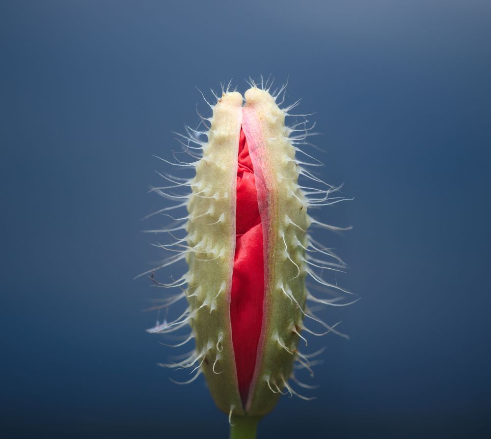 Фотография автора Panagiotis Dalagiorgos