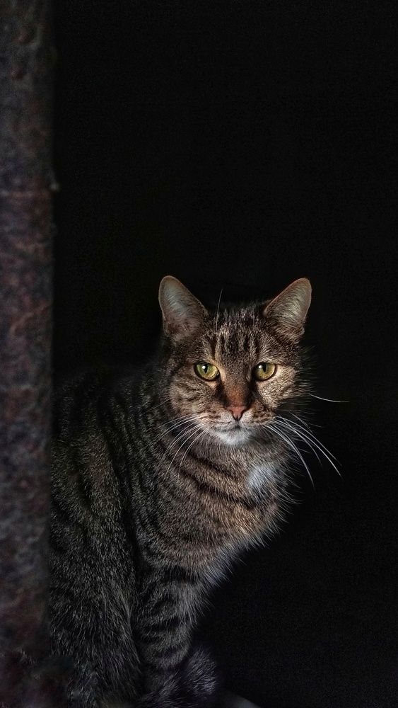 Photograph by Светлана Безъязычная