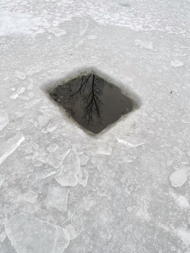 Фотография автора Valeryia Shkoda