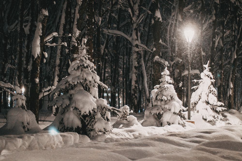 Photograph by Татьяна