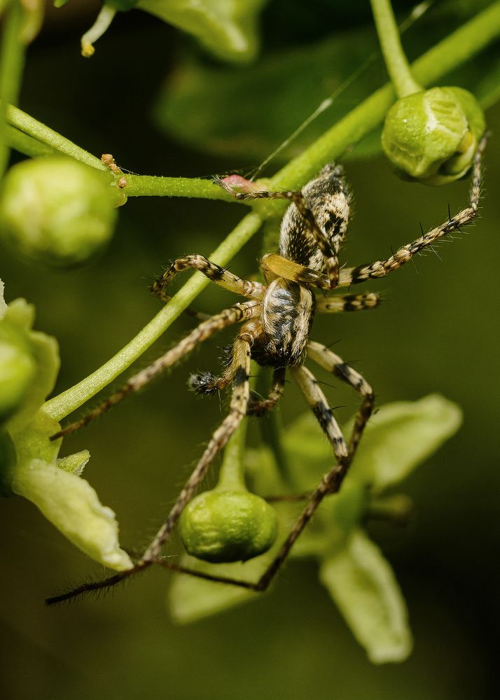 Photograph by Alexander Plaksin