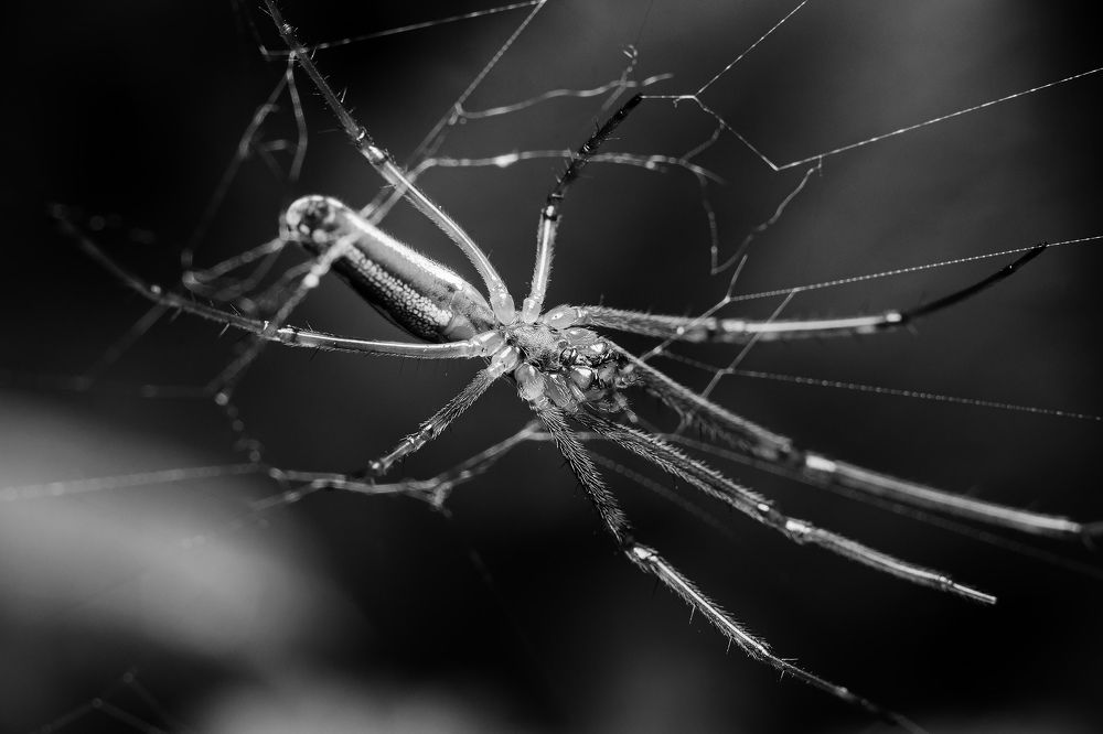 Photograph by Alexander Plaksin