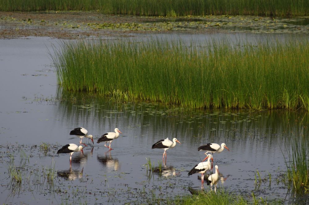 Photograph by Сергей Ножнин