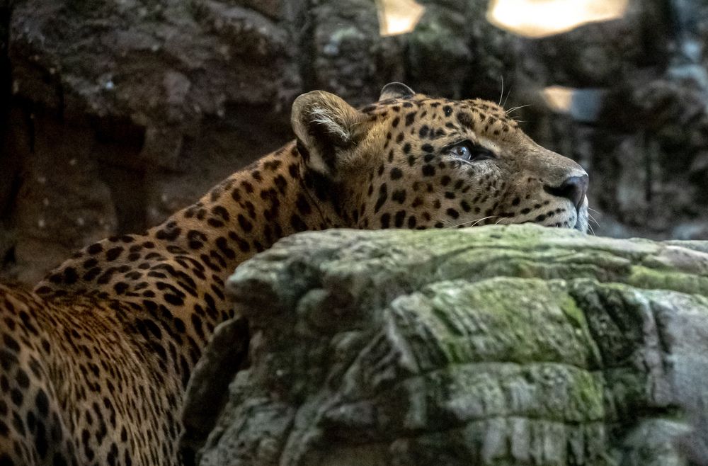 Photograph by Kristiina Stahlberg