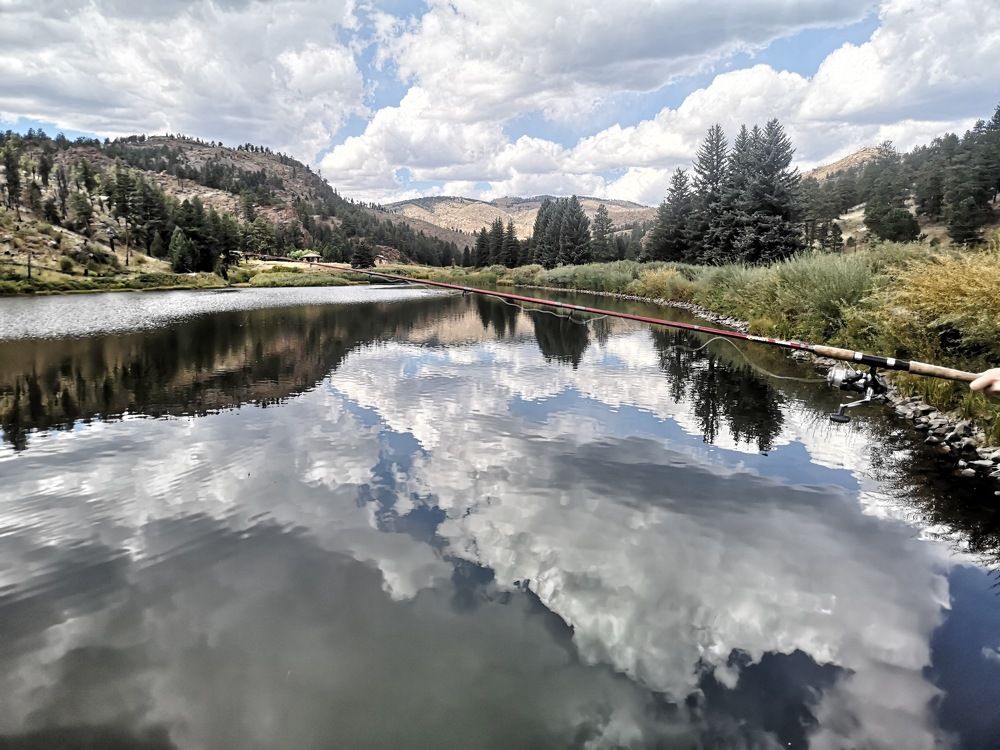 Photograph by Наталия Natius Ткачёва