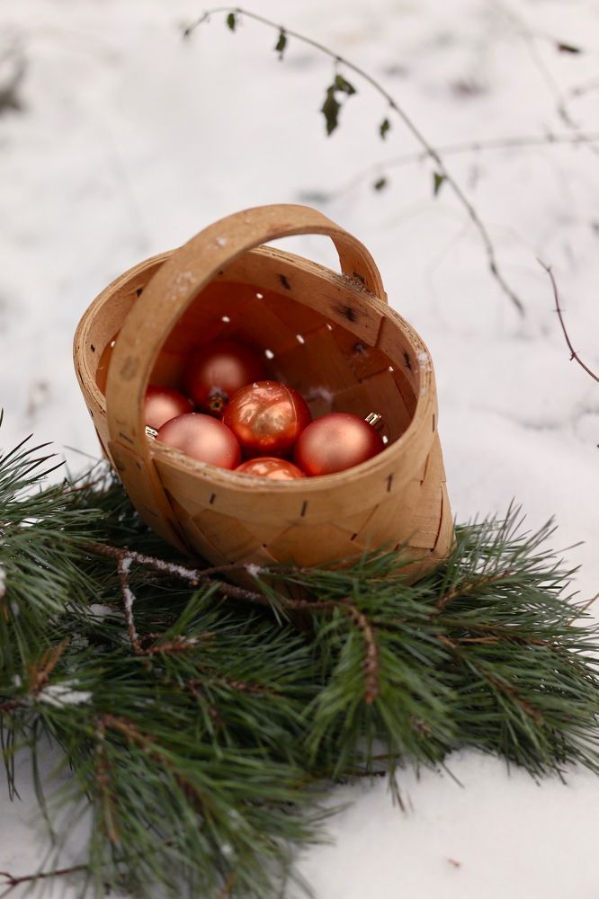 Photograph by Елена Ивкина