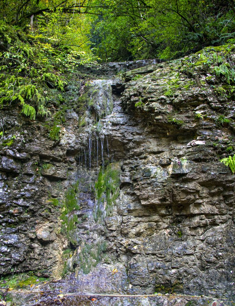 Photograph by Дмитрий